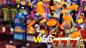 Premium Interface w56